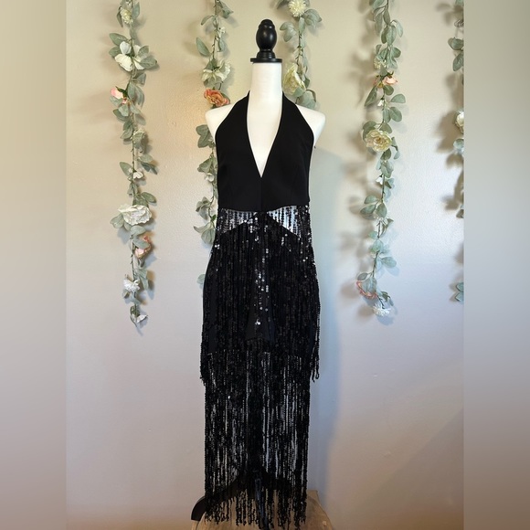 RASARIO Sequinned Fringe Dress in Crepe - Picture 8 of 15